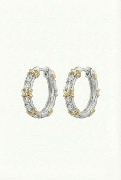 Foto Argola Curta Elo