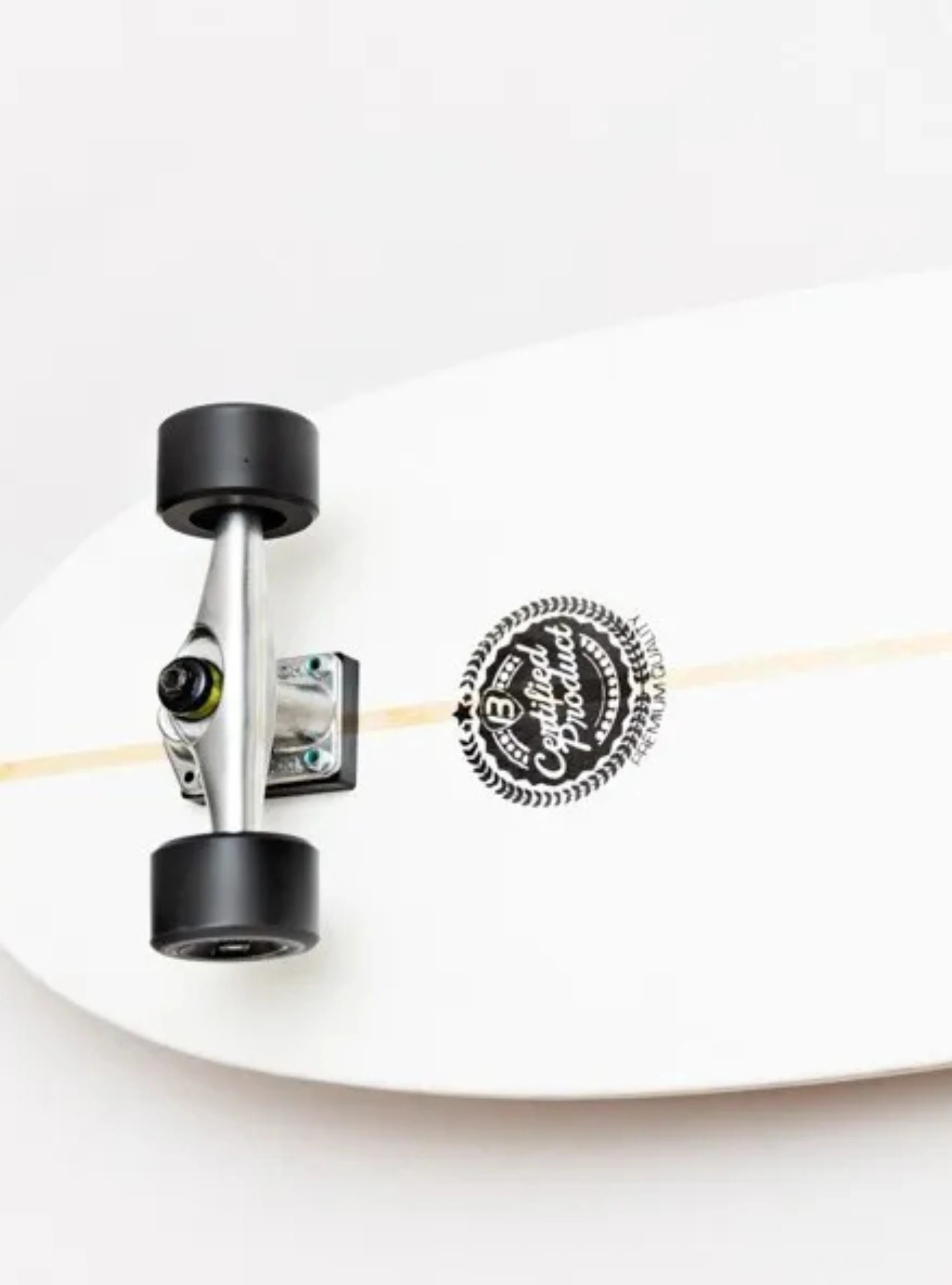 Foto Skate Simulador de Surf BIG FISH