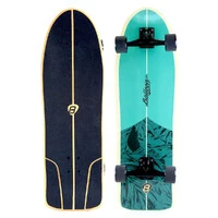 Skate Simulador de Surf NEW OLD 3.0