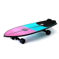 Skate Simulador de Surf COLOR FUN