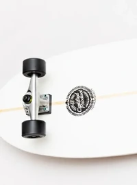 Skate Simulador de Surf BIG FISH