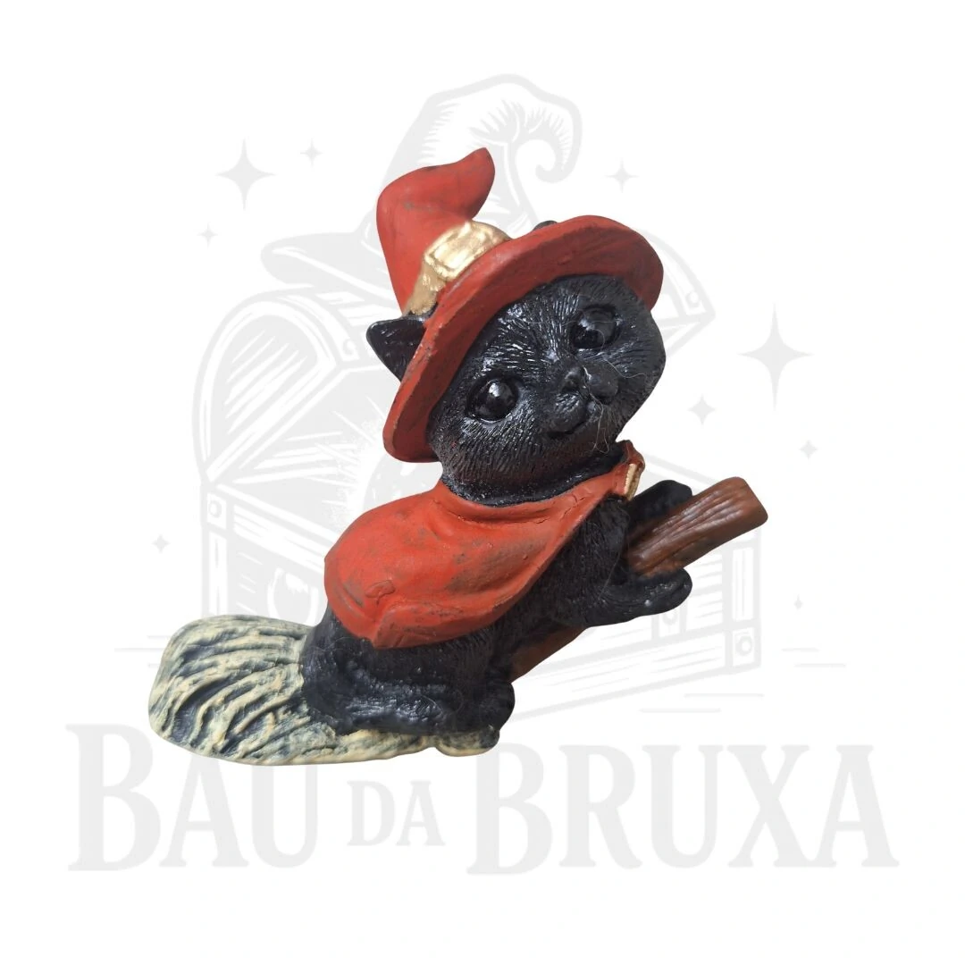 FotoGato com Vassoura (Coleção Wicca)