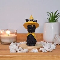 Gato Com Chapeu De Bruxa (Wicca)