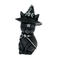 Gato Com Chapeu De Bruxa (Wicca)