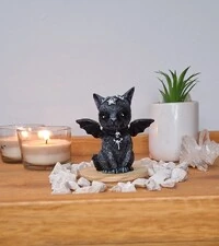 Batgato - Gatinho Morcego (Wicca)