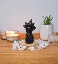 Gato Com Chapeu De Bruxa (Wicca)