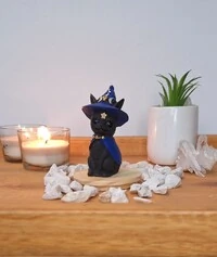 Gato Com Chapeu De Bruxa (Wicca)