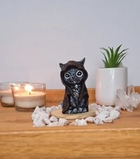 Gato Com Capuz (Wicca)