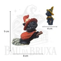 Gato com Vassoura (Coleção Wicca)