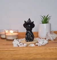 Gato Com Chapeu De Bruxa (Wicca)