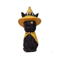 Gato Com Chapeu De Bruxa (Wicca)