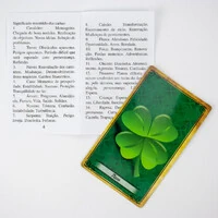 O Legítimo Baralho da Vó Cigana 36 Cartas Plastificadas Com Manual