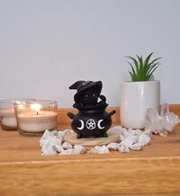Gato No Caldeirão (Wicca)