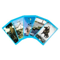 O Tradicional Baralho de Santa Sara Kali Completo e Plastificado 36 Cartas