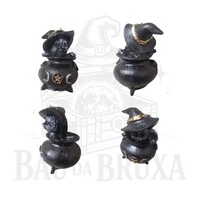 Gato no Caldeirão (Coleção Wicca)