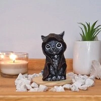 Gato Com Capuz (Wicca)