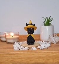 Gato Com Chapeu De Bruxa (Wicca)