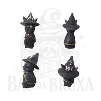 Gato com Chapeu de Bruxa (Wicca)