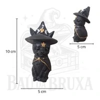 Gato com Chapeu de Bruxa (Wicca)