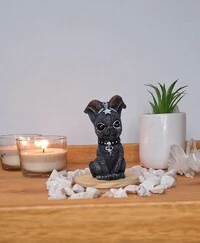 Gato Com Chifre (Wicca)
