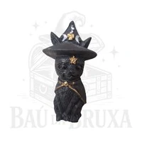 Gato com Chapeu de Bruxa (Wicca)