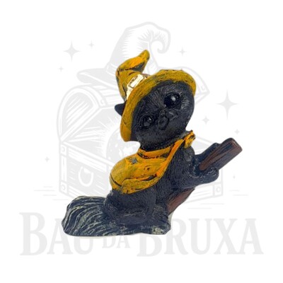 Foto Gato com Vassoura (Coleção Wicca)