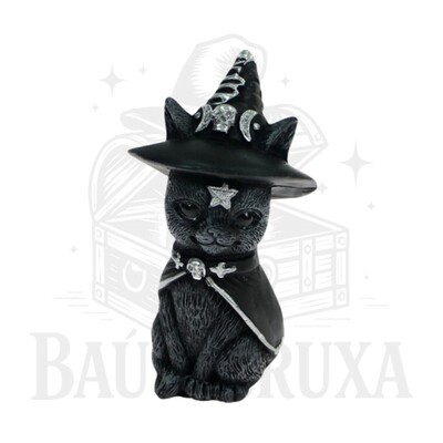 Foto Gato com Chapeu de Bruxa (Wicca)