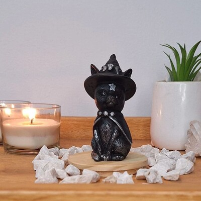 FotoGato Com Chapeu De Bruxa (Wicca)