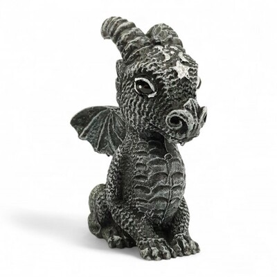 Foto Dragão (Wicca)