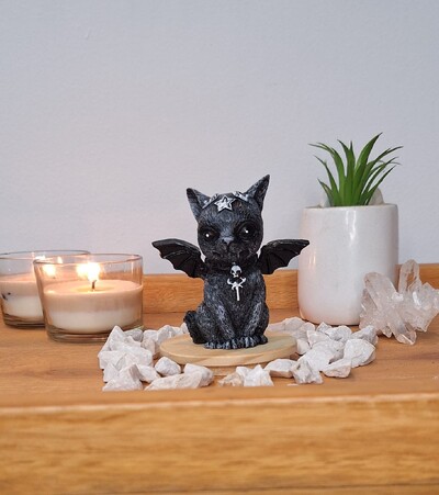 FotoBatgato - Gatinho Morcego (Wicca)