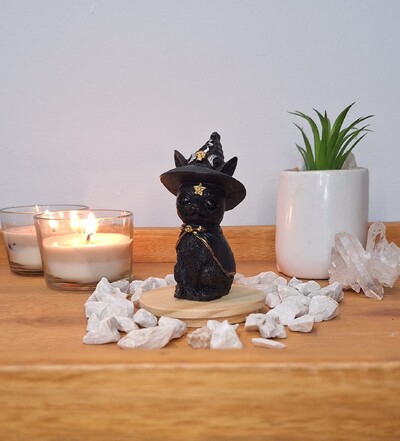 FotoGato Com Chapeu De Bruxa (Wicca)