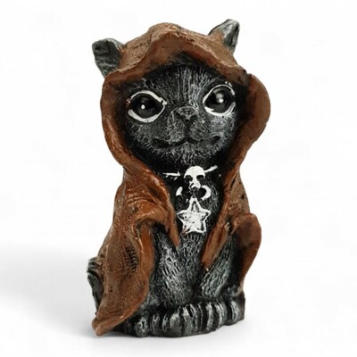 Foto Gato Com Capuz (Wicca)