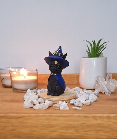FotoGato Com Chapeu De Bruxa (Wicca)