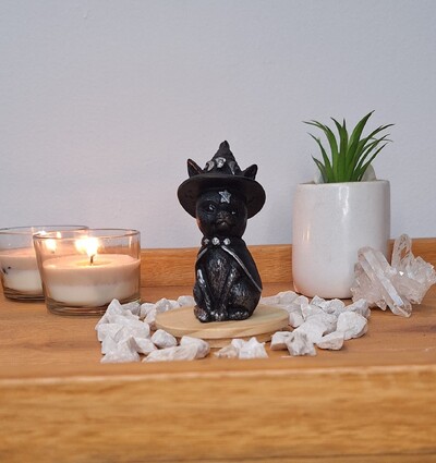 FotoGato Com Chapeu De Bruxa (Wicca)