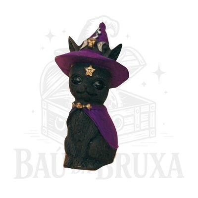 Foto Gato com Chapeu de Bruxa (Wicca)