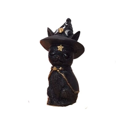 Foto Gato Com Chapeu De Bruxa (Wicca)
