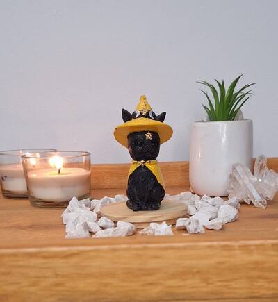 FotoGato Com Chapeu De Bruxa (Wicca)