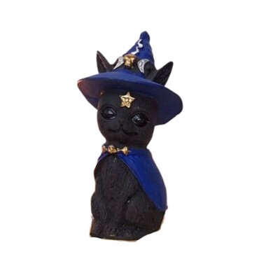Foto Gato Com Chapeu De Bruxa (Wicca)