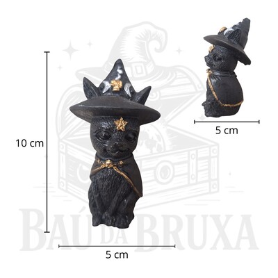 FotoGato com Chapeu de Bruxa (Wicca)