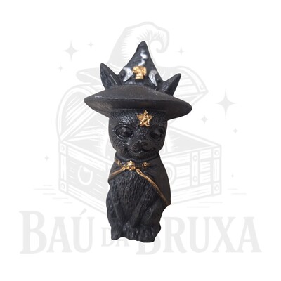 Foto Gato com Chapeu de Bruxa (Wicca)