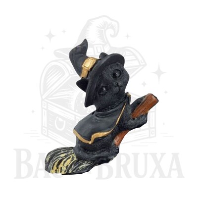 Foto Gato com Vassoura (Coleção Wicca)