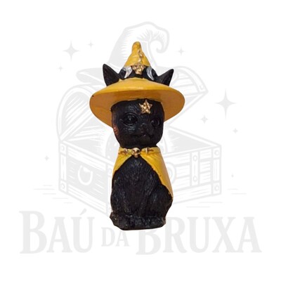 Foto Gato com Chapeu de Bruxa (Wicca)