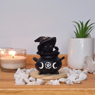 FotoGato No Caldeirão (Wicca)