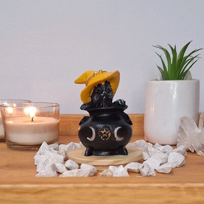 FotoGato No Caldeirão (Wicca)