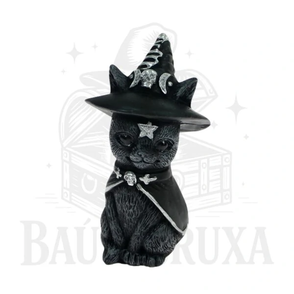 Gato com Chapeu de Bruxa (Wicca)
