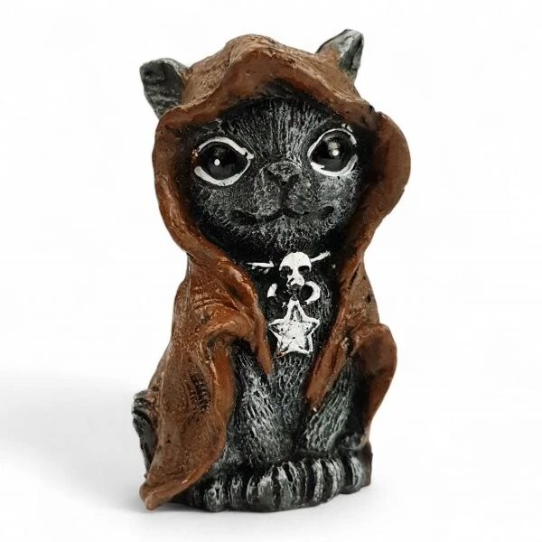 Gato Com Capuz (Wicca)