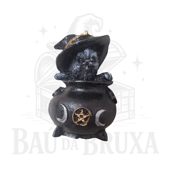 Gato no Caldeirão (Coleção Wicca)
