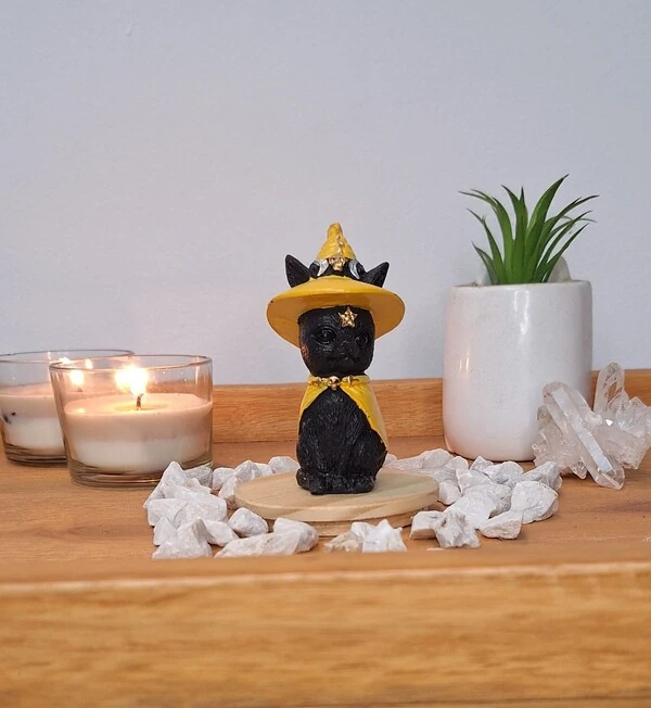 Gato Com Chapeu De Bruxa (Wicca)