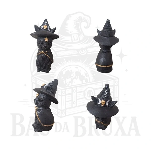 Gato com Chapeu de Bruxa (Wicca)