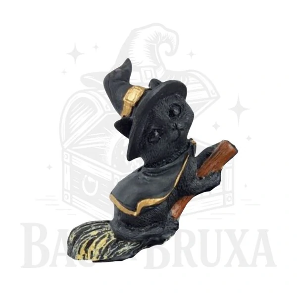 Gato com Vassoura (Coleção Wicca)